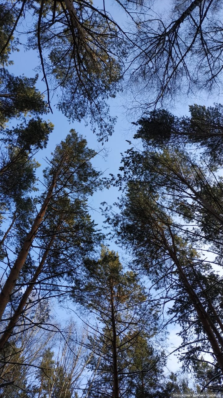 Юляшкина прогулка в погожий ноябрьский денёк | Бэйбики Юляшкина прогулка в погожий ноябрьский денёк