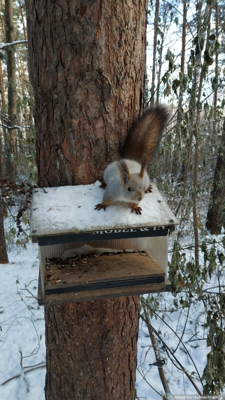 Юляшкина прогулка в погожий ноябрьский денёк | Бэйбики Юляшкина прогулка в погожий ноябрьский денёк