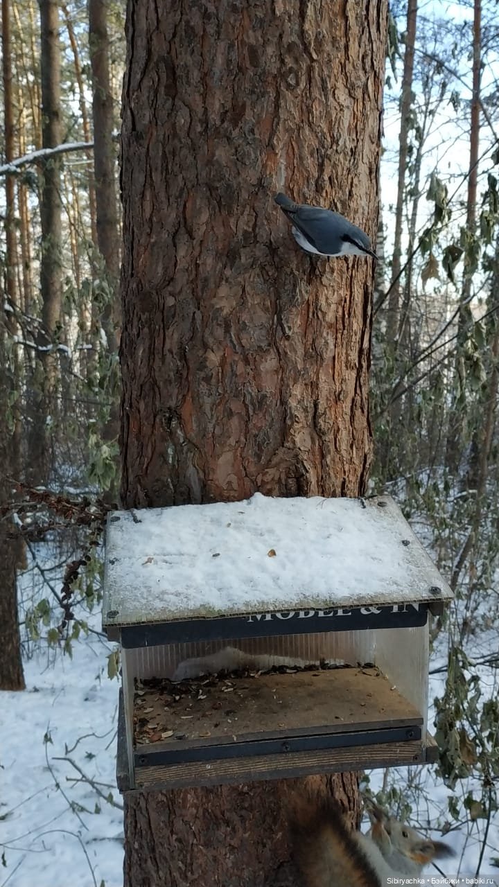 Юляшкина прогулка в погожий ноябрьский денёк | Бэйбики Юляшкина прогулка в погожий ноябрьский денёк