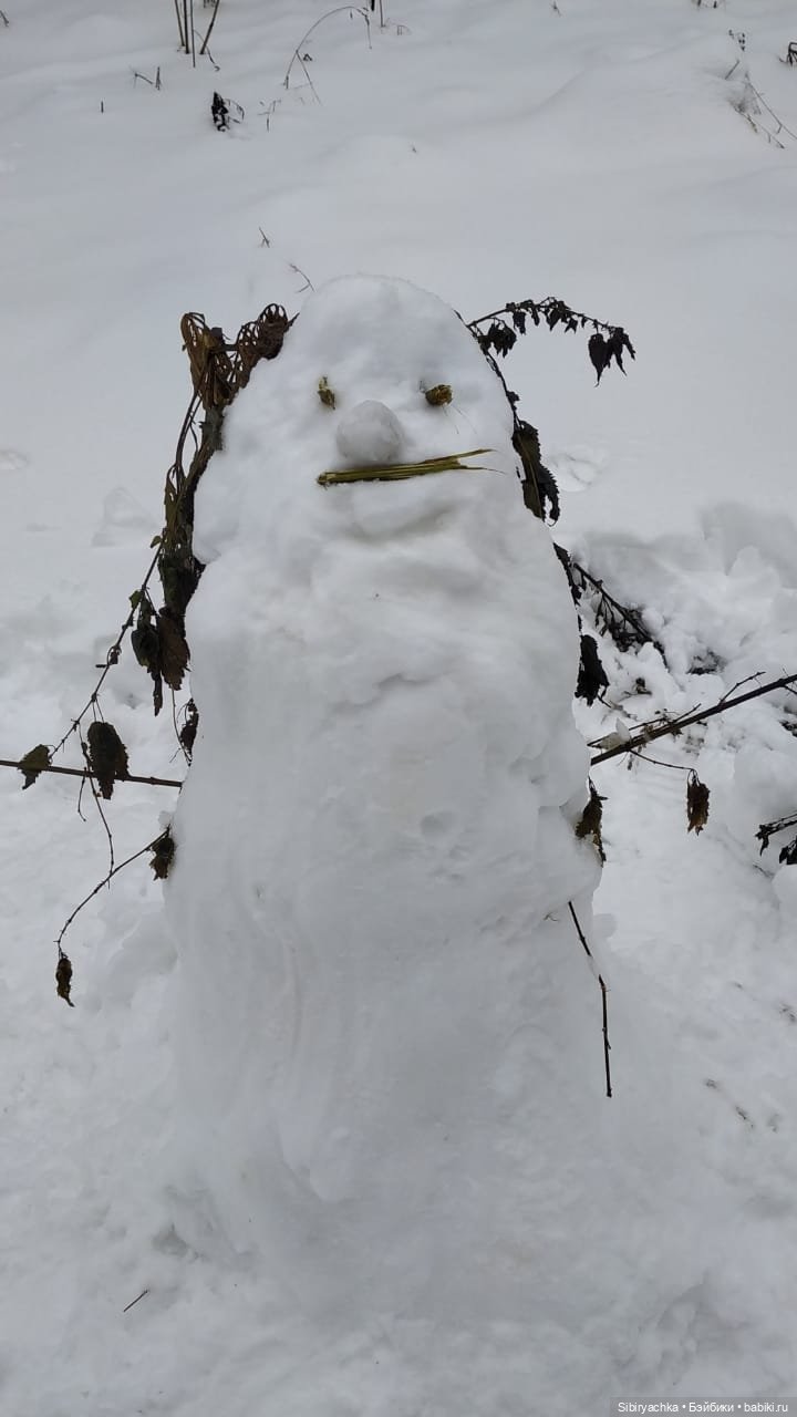 Зимняя сказка в сибирском лесу
