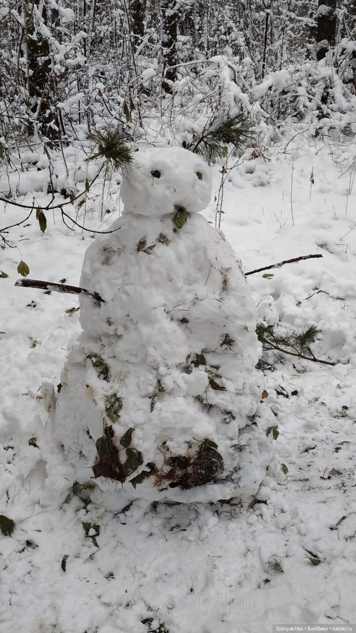 Зимняя сказка в сибирском лесу