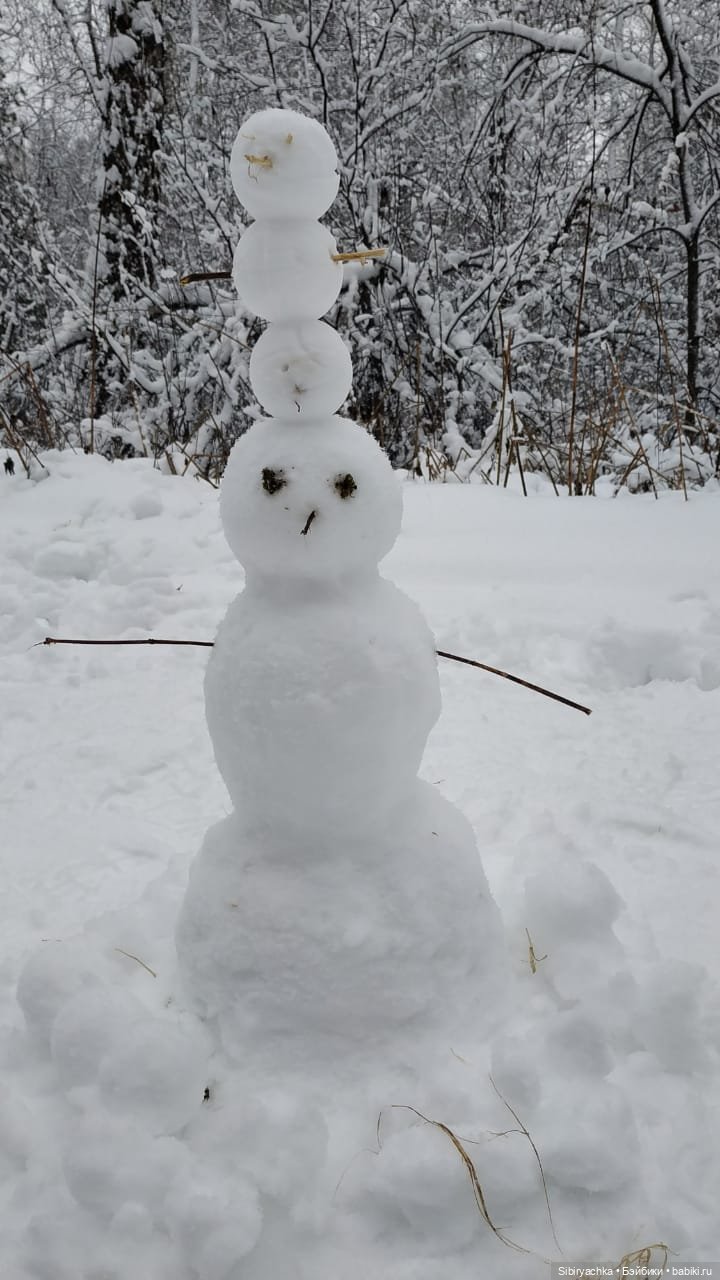 Зимняя сказка в сибирском лесу