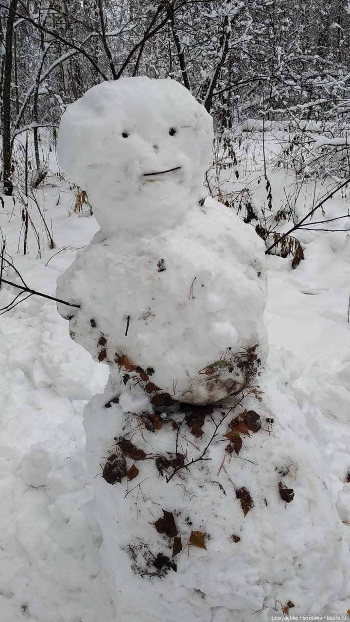 Зимняя сказка в сибирском лесу