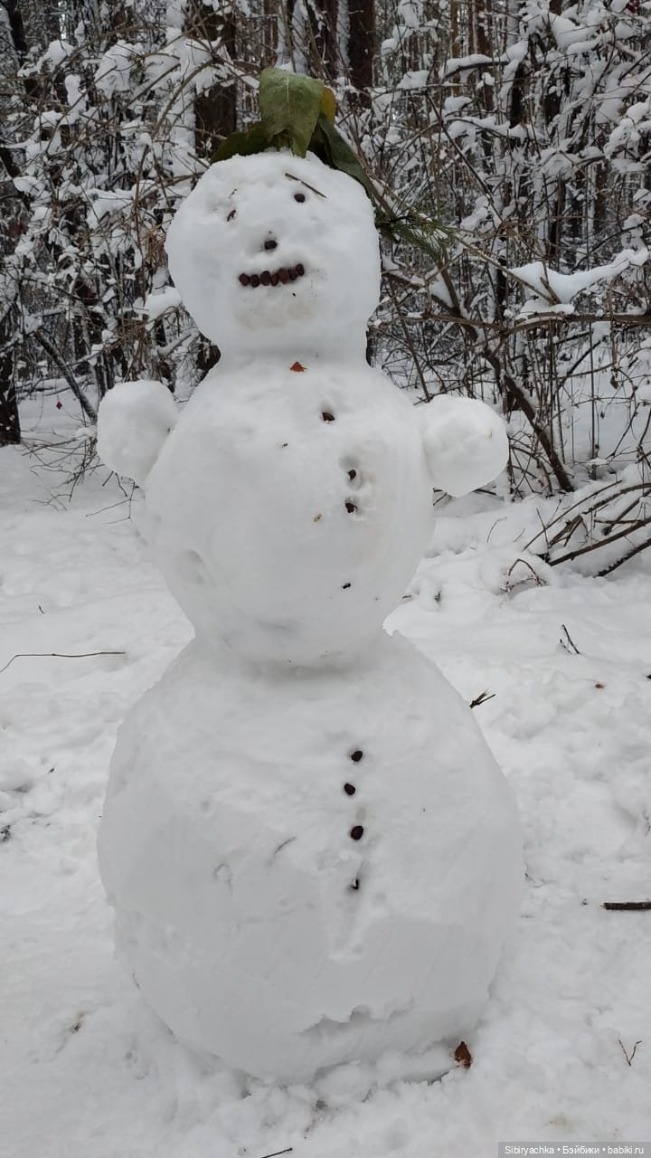 Зимняя сказка в сибирском лесу