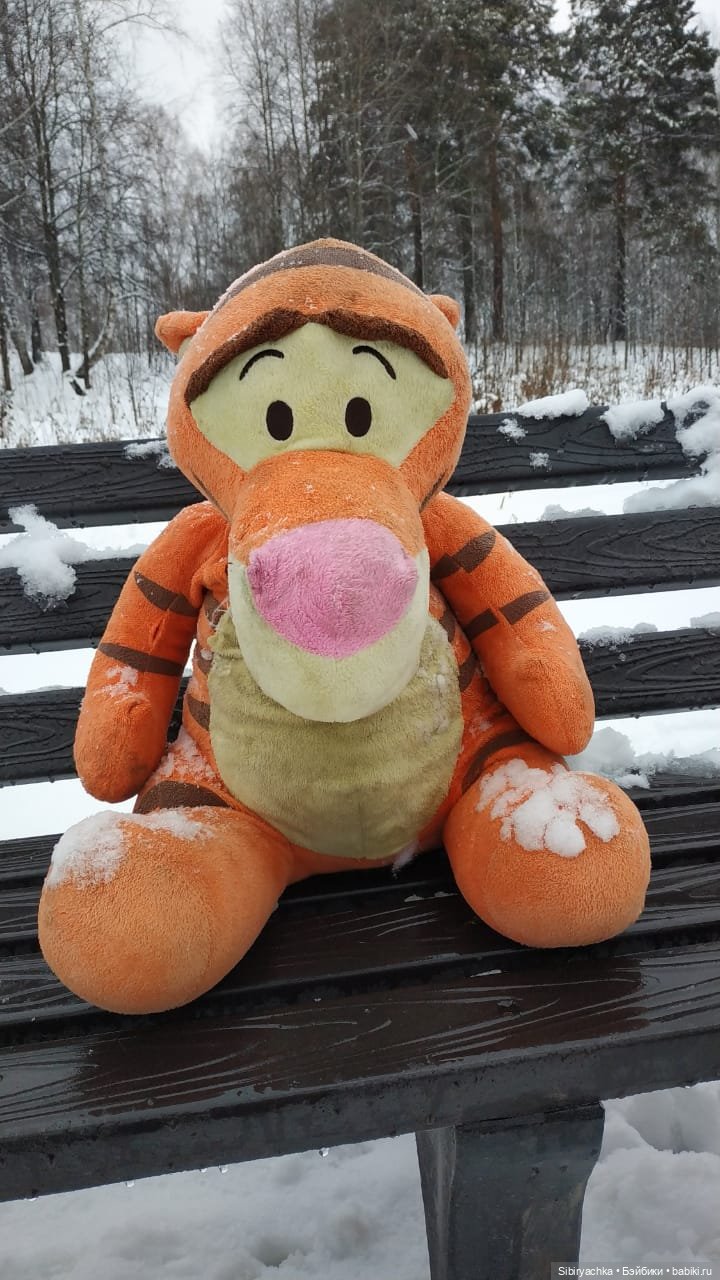 Зимняя сказка в сибирском лесу