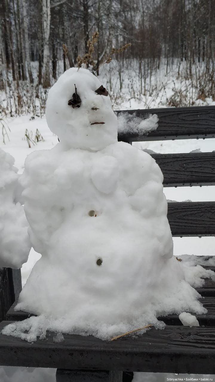 Зимняя сказка в сибирском лесу
