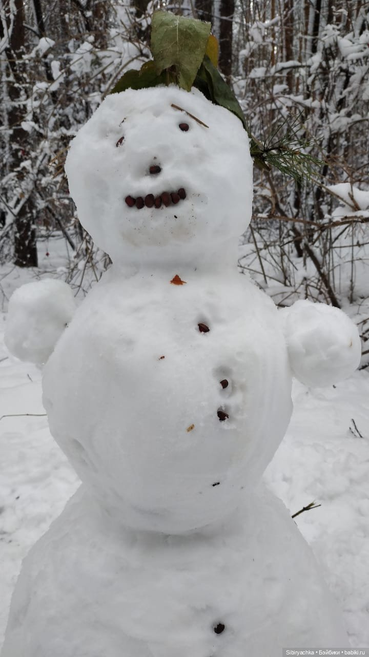 Зимняя сказка в сибирском лесу