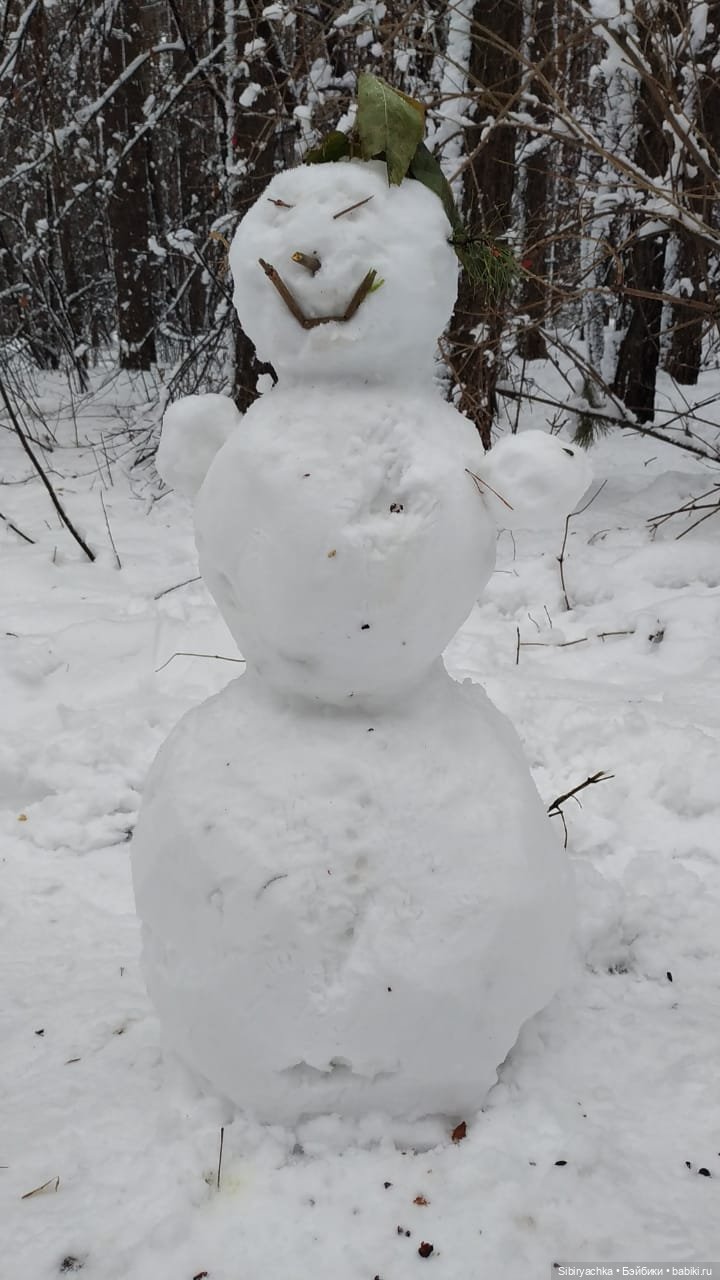 Зимняя сказка в сибирском лесу