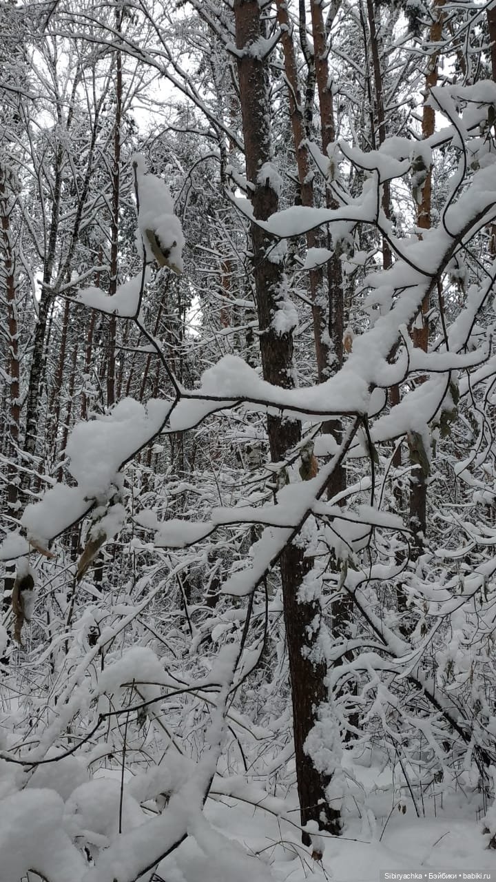 Юляшка в любимом лесу — Советские винтажные куклы (СССР): Ленигрушка