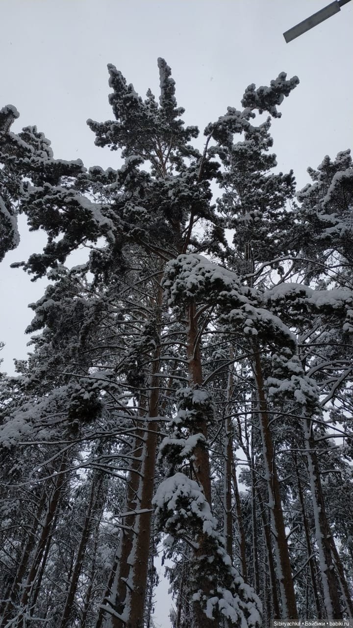 Юляшка в любимом лесу — Советские винтажные куклы (СССР): Ленигрушка