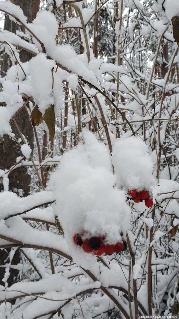 Юляшка в любимом лесу — Советские винтажные куклы (СССР): Ленигрушка
