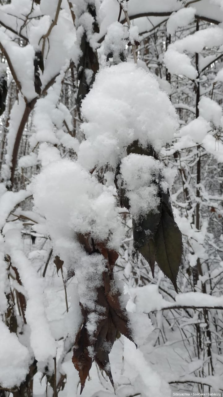 Юляшка в любимом лесу — Советские винтажные куклы (СССР): Ленигрушка