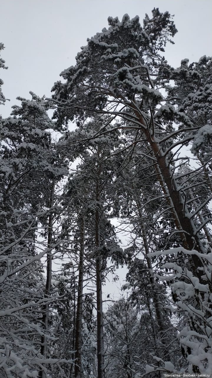 Юляшка в любимом лесу — Советские винтажные куклы (СССР): Ленигрушка