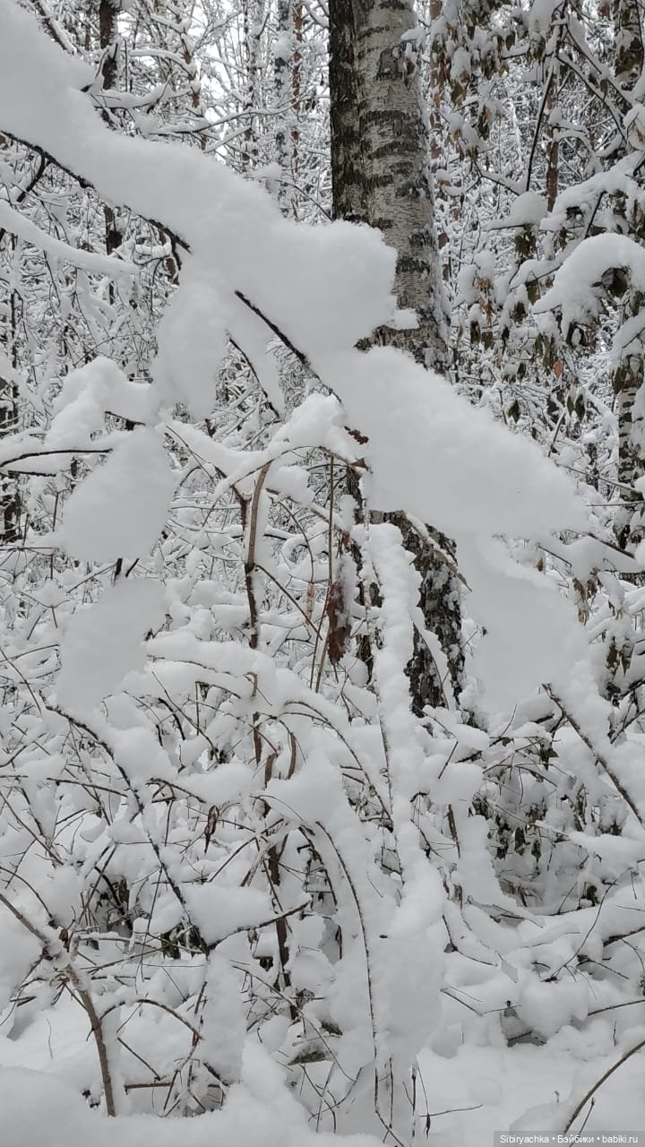 Юляшка в любимом лесу — Советские винтажные куклы (СССР): Ленигрушка