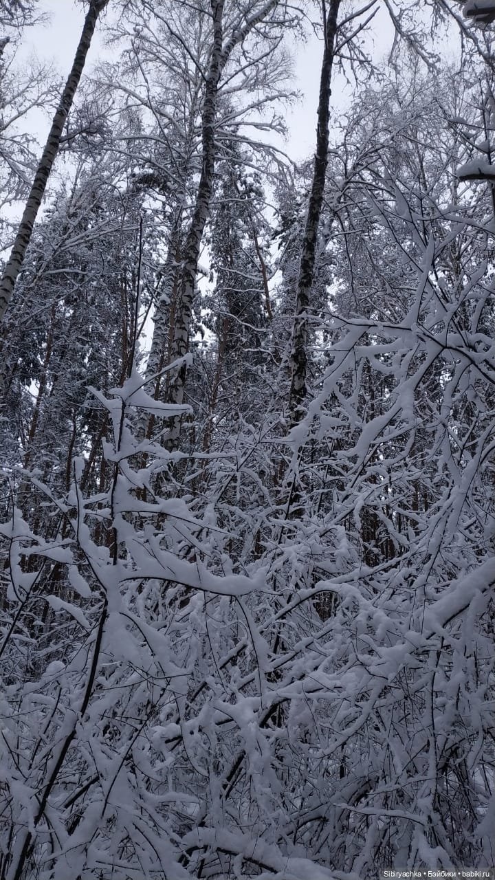 Юляшка в любимом лесу — Советские винтажные куклы (СССР): Ленигрушка