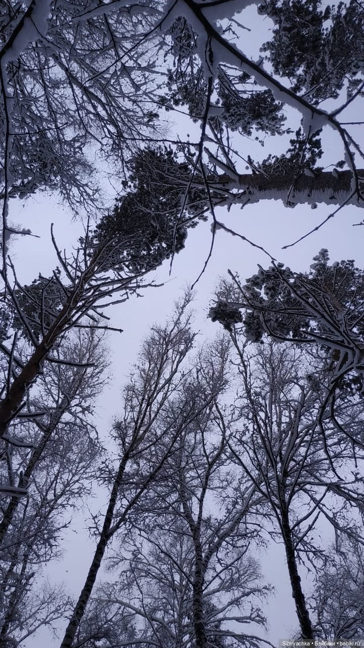 Юляшка в любимом лесу — Советские винтажные куклы (СССР): Ленигрушка