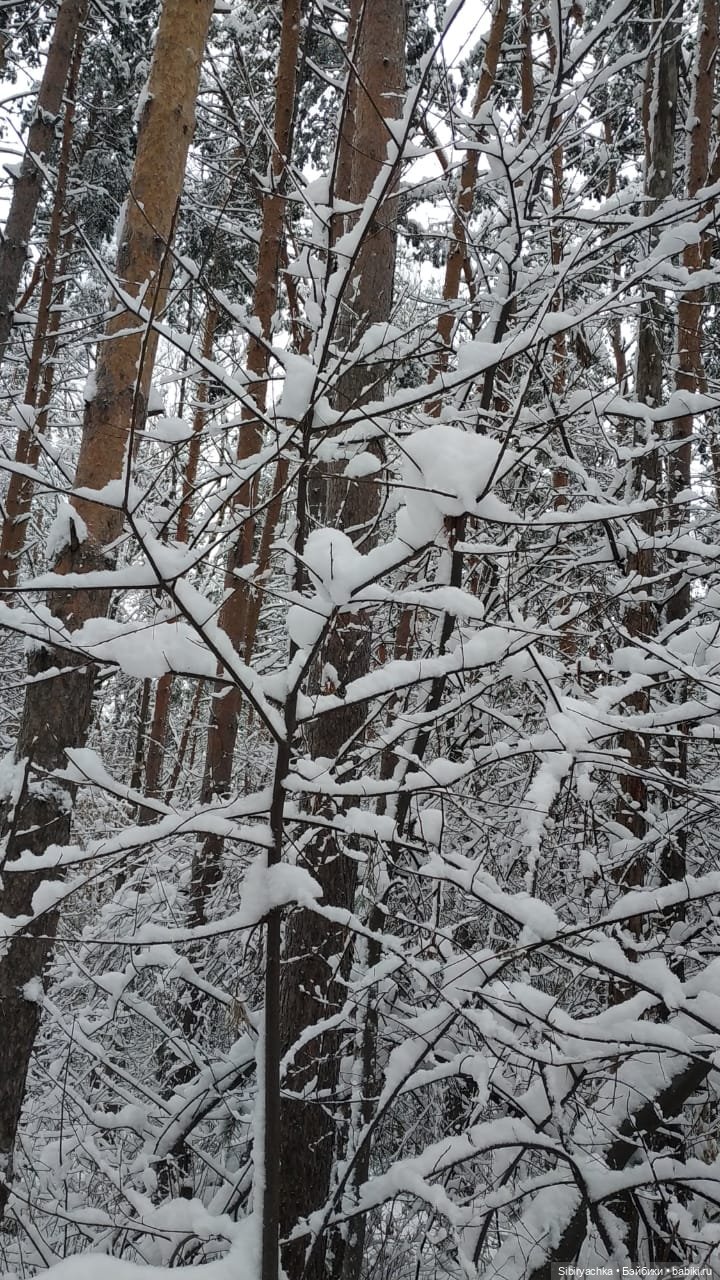 Юляшка в любимом лесу — Советские винтажные куклы (СССР): Ленигрушка (фото 3)