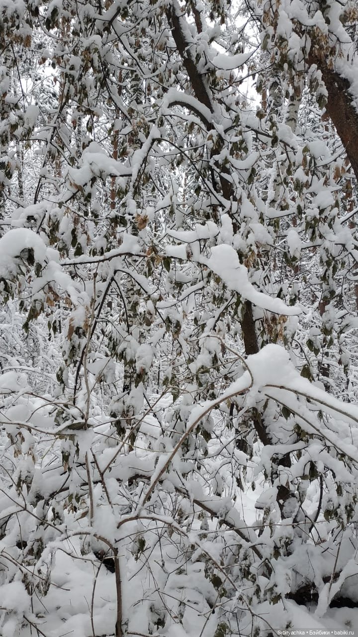 Юляшка в любимом лесу — Советские винтажные куклы (СССР): Ленигрушка