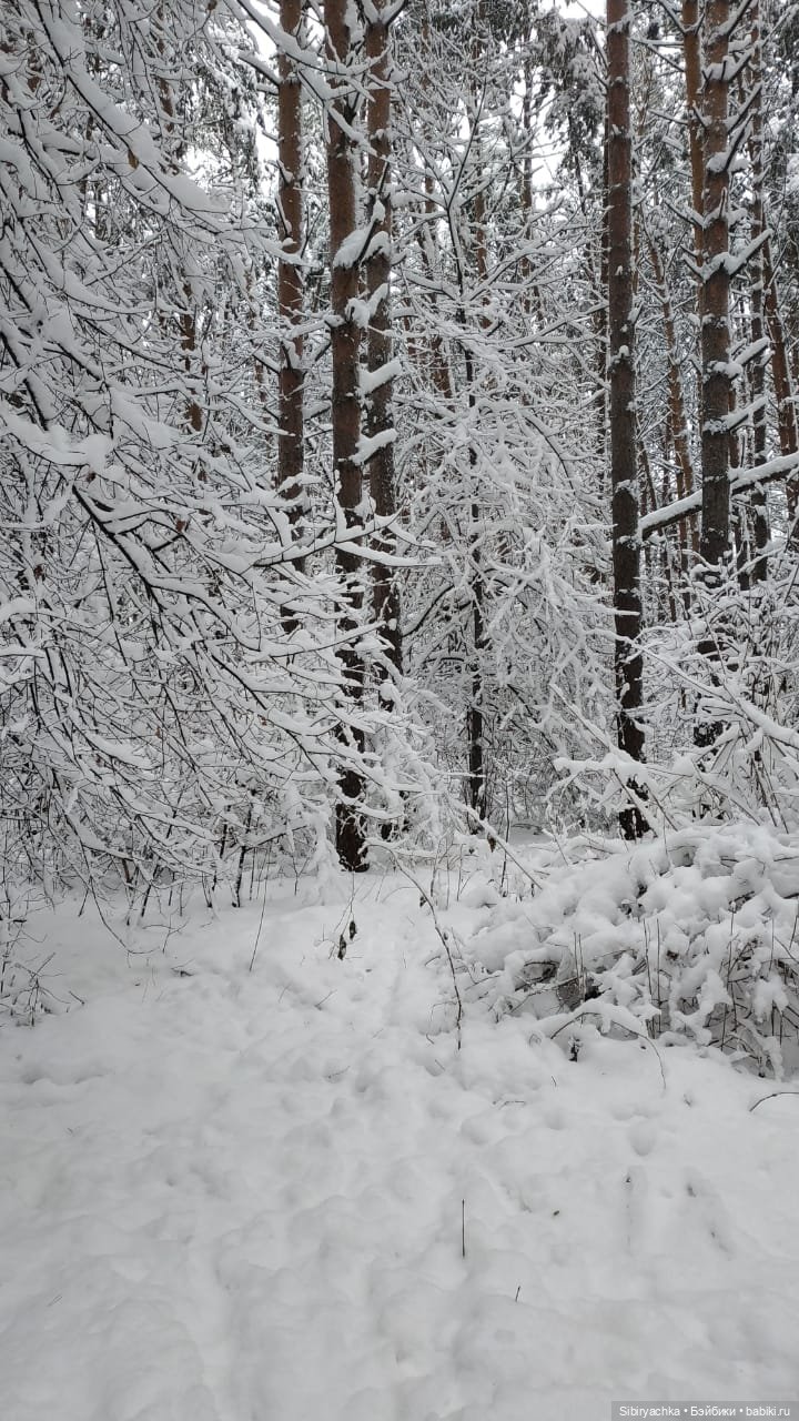 Юляшка в любимом лесу — Советские винтажные куклы (СССР): Ленигрушка