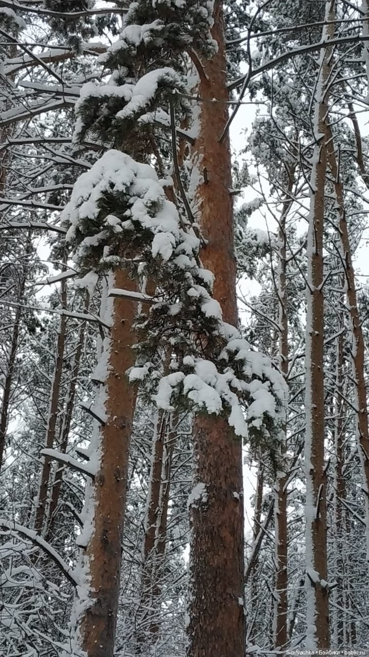 Юляшка в любимом лесу — Советские винтажные куклы (СССР): Ленигрушка