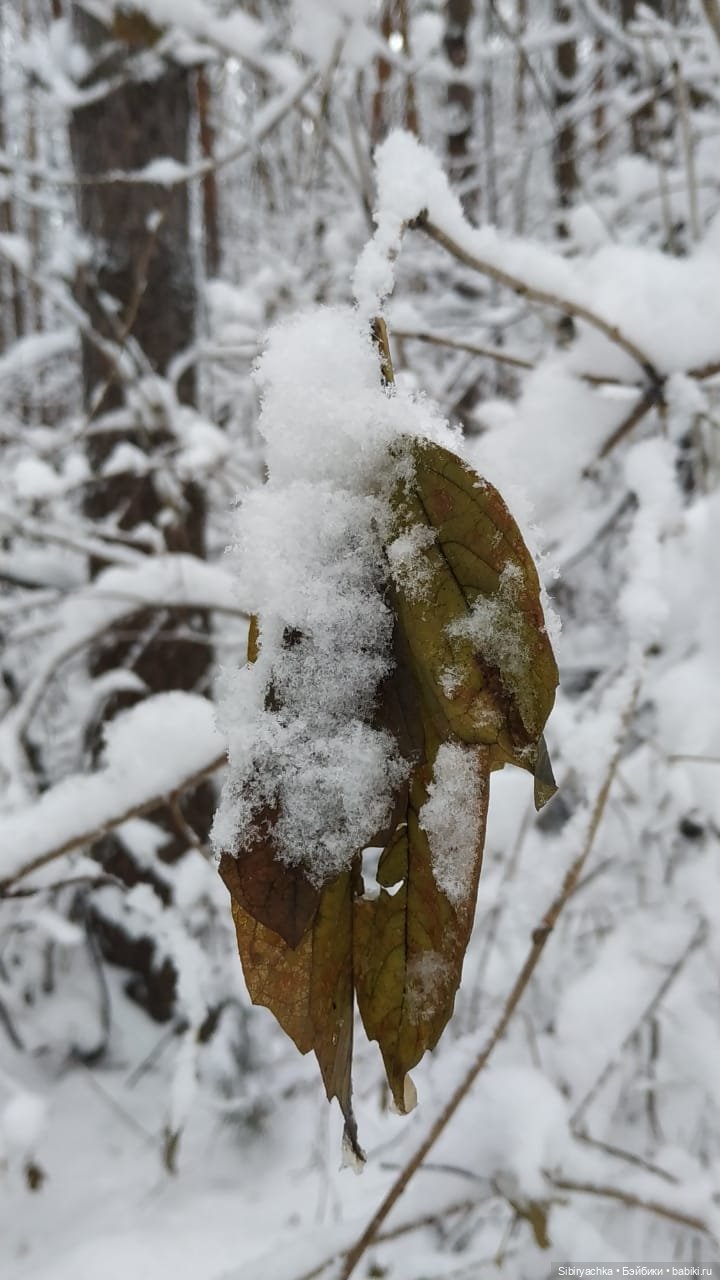 Юляшка в любимом лесу — Советские винтажные куклы (СССР): Ленигрушка