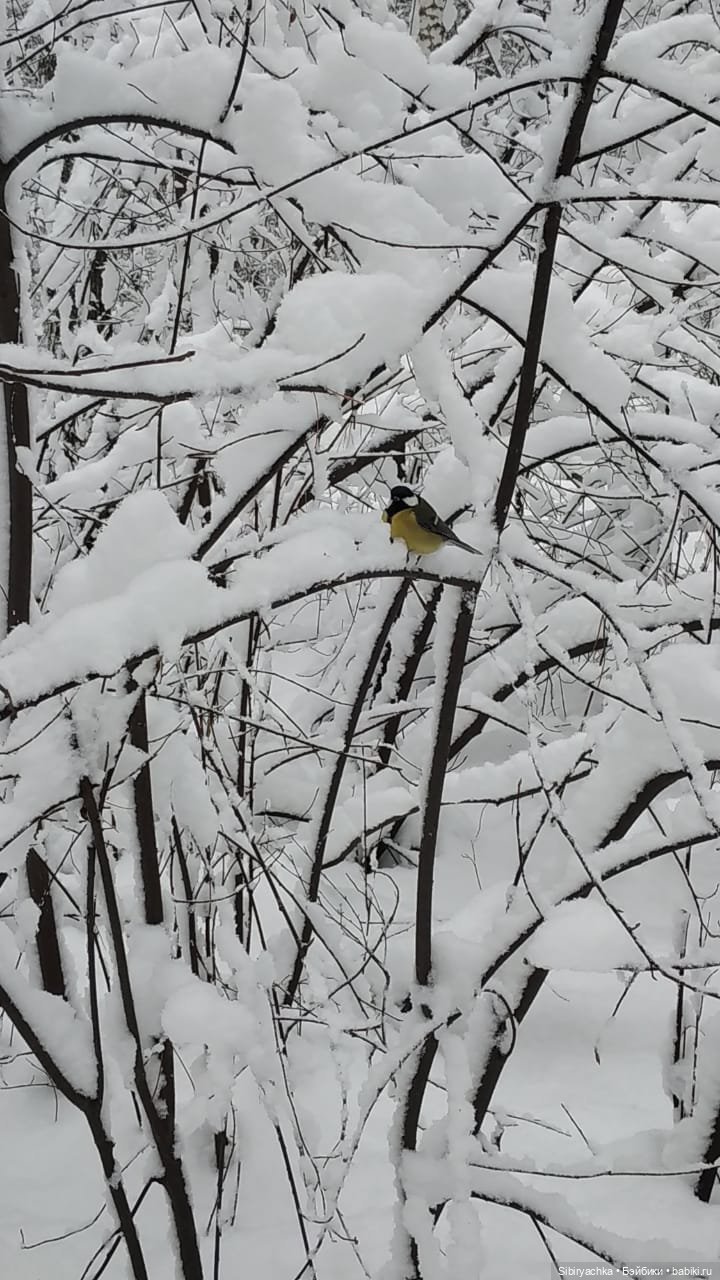 Юляшка в любимом лесу — Советские винтажные куклы (СССР): Ленигрушка