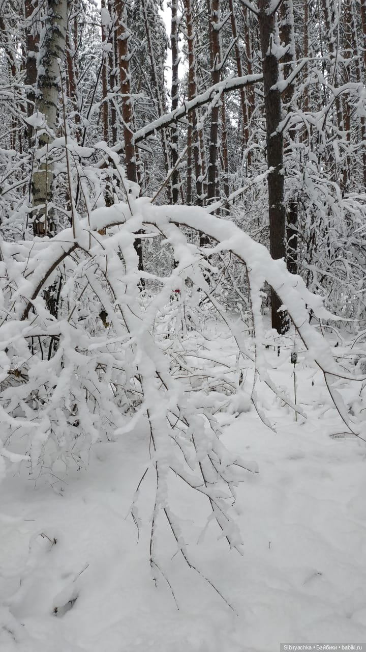 Юляшка в любимом лесу — Советские винтажные куклы (СССР): Ленигрушка