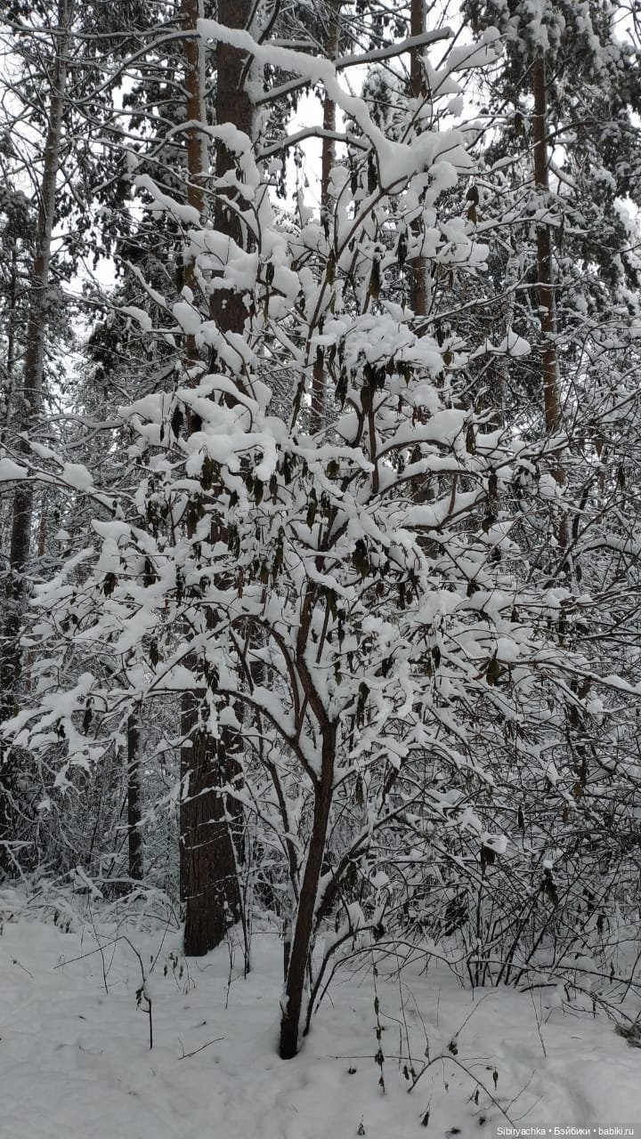 Юляшка в любимом лесу — Советские винтажные куклы (СССР): Ленигрушка