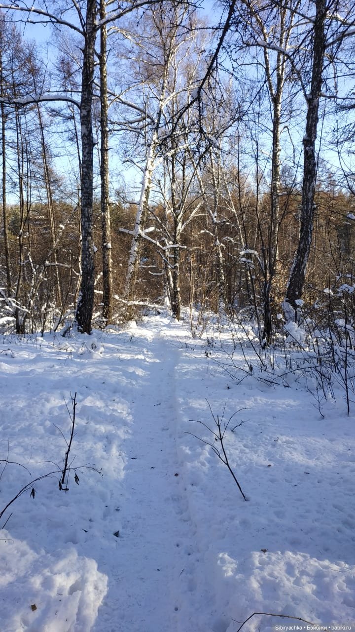Снежно-хвойная прогулка Юляшки