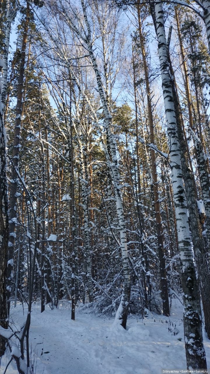 Снежно-хвойная прогулка Юляшки