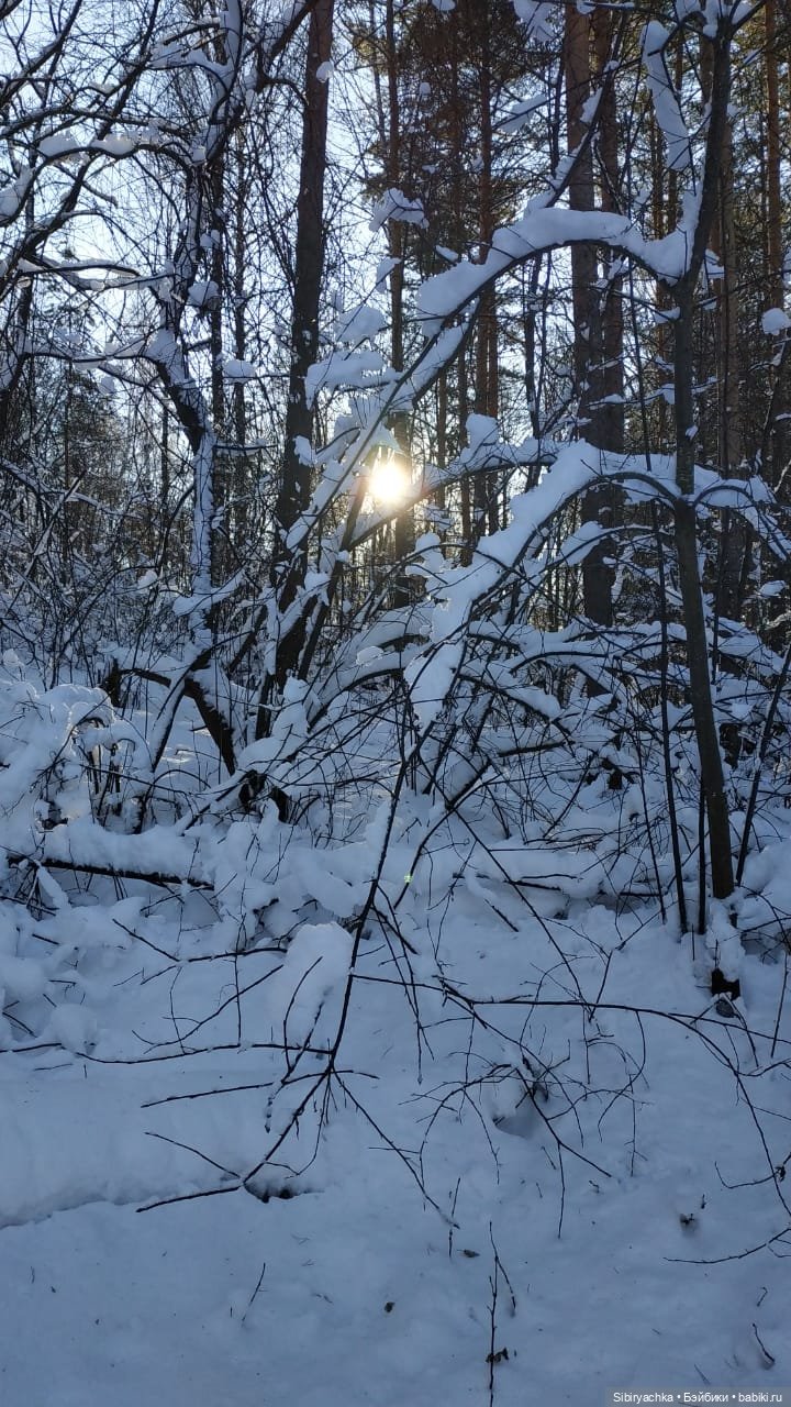 Снежно-хвойная прогулка Юляшки