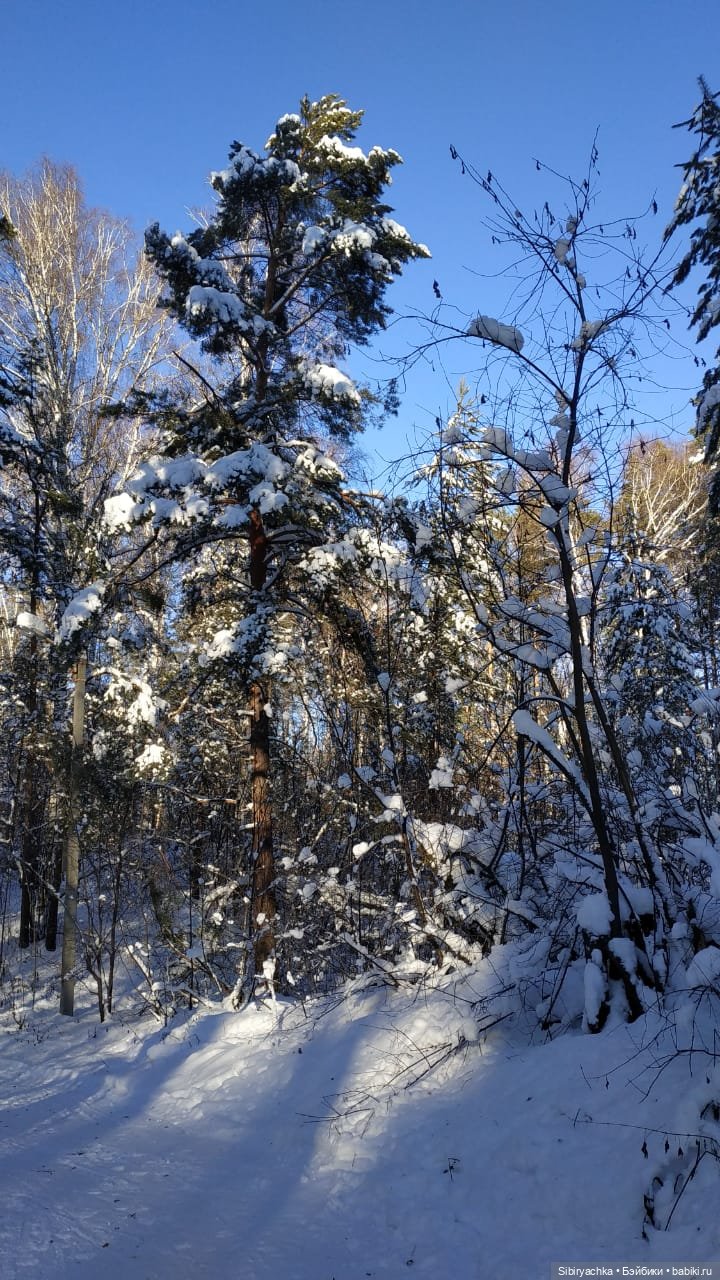 Снежно-хвойная прогулка Юляшки