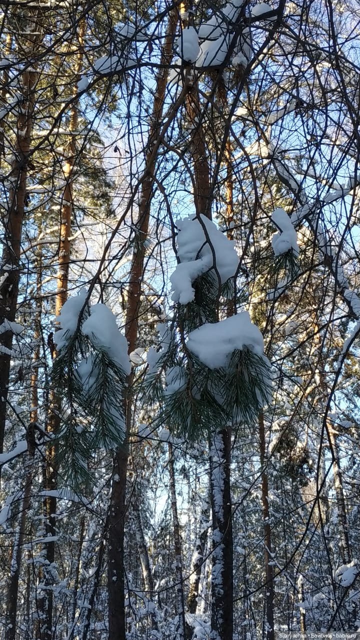 Снежно-хвойная прогулка Юляшки