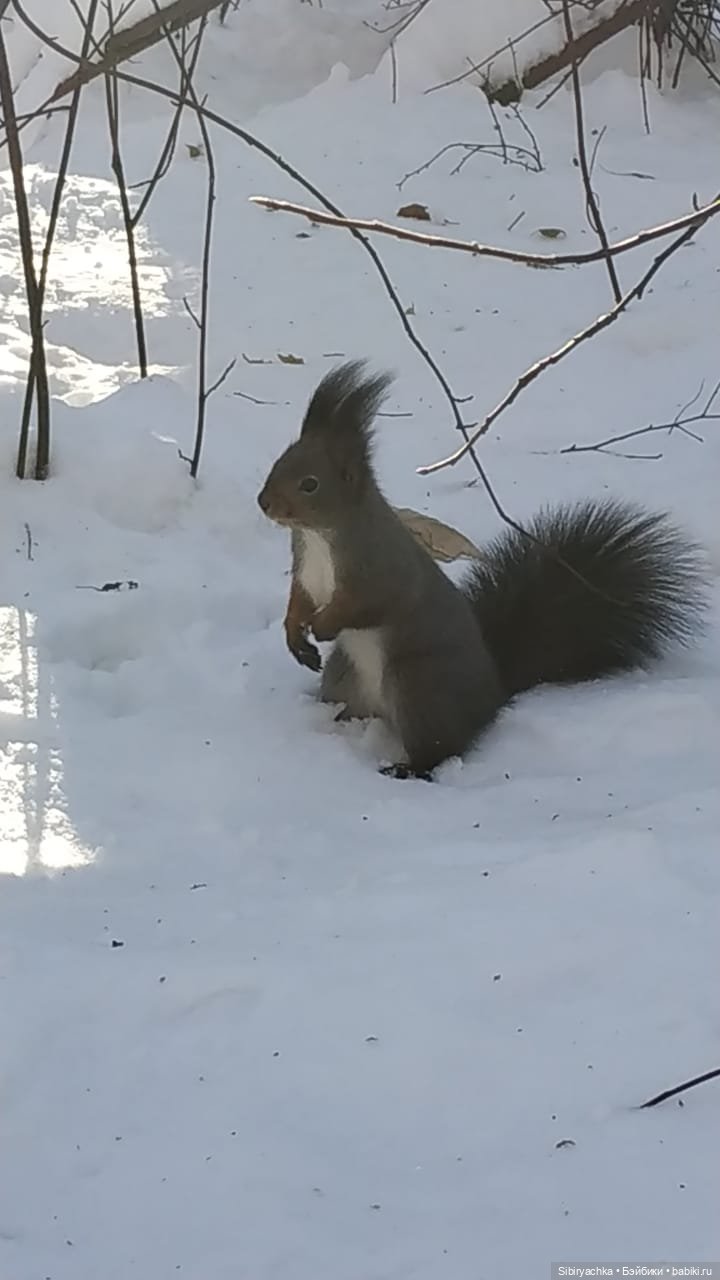 Снежно-хвойная прогулка Юляшки