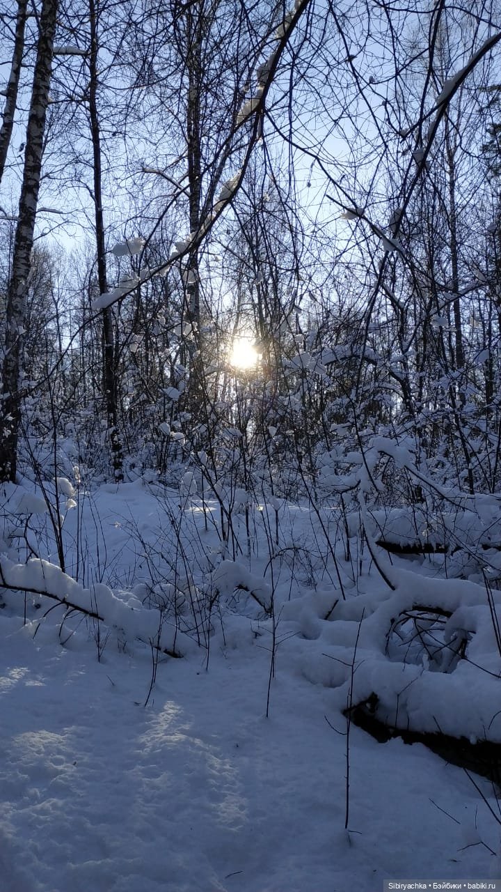 Снежно-хвойная прогулка Юляшки