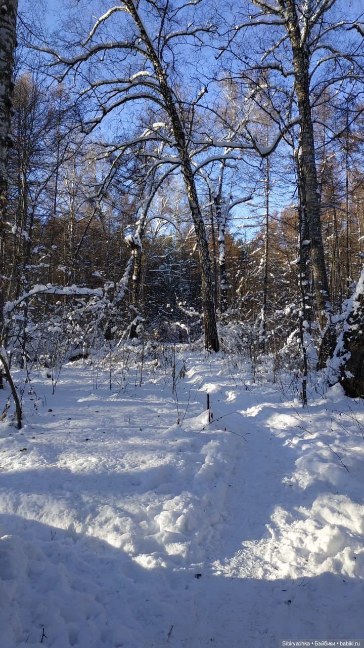 Снежно-хвойная прогулка Юляшки