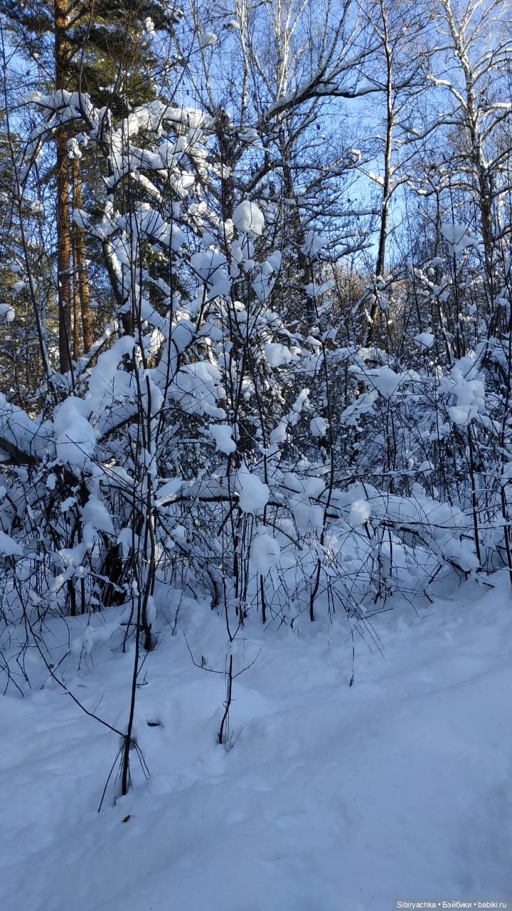 Снежно-хвойная прогулка Юляшки
