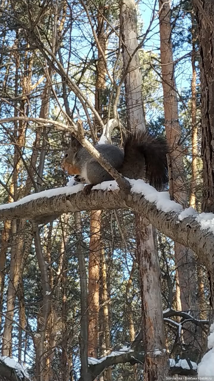 Зимняя прогулка Юляшки в любимом лесу