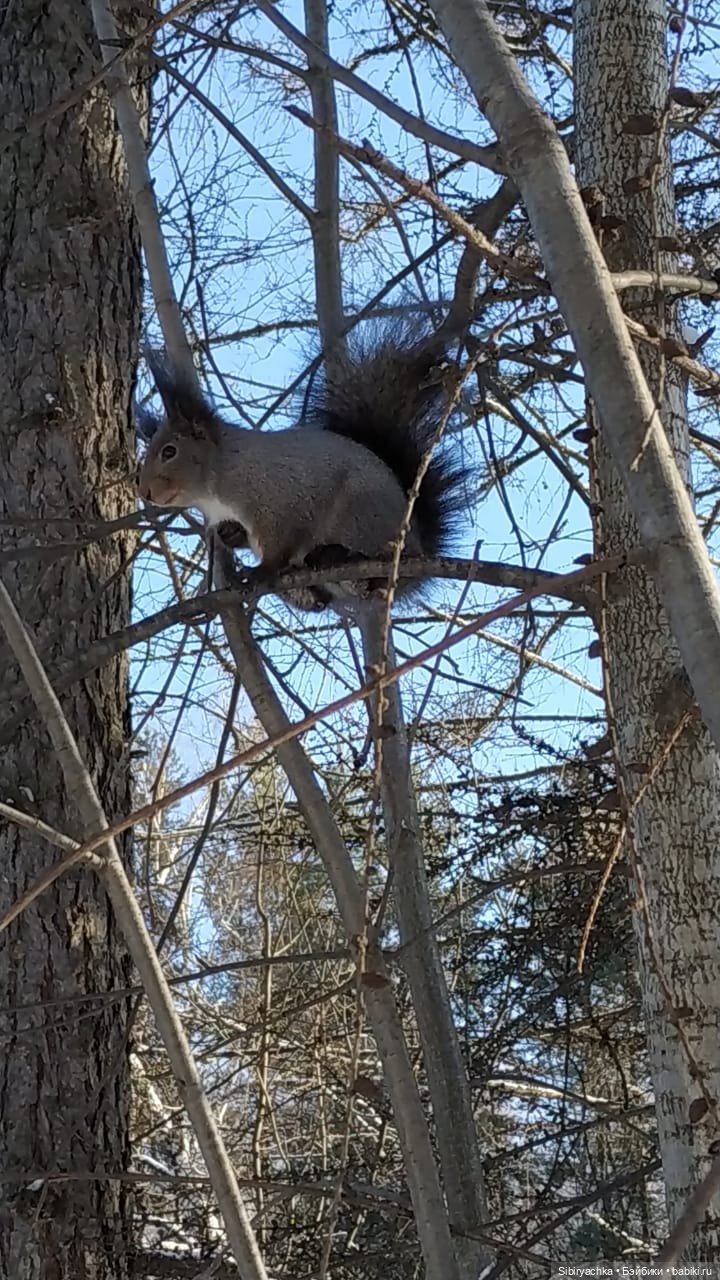 Зимняя прогулка Юляшки в любимом лесу