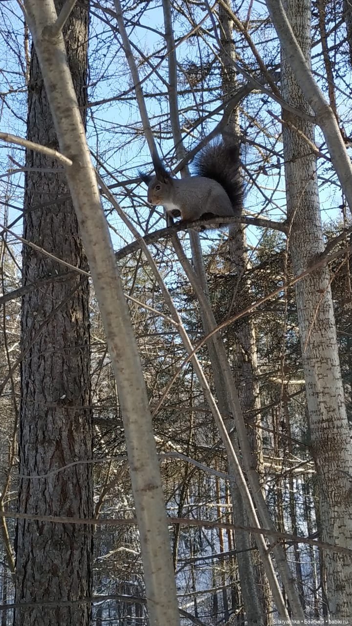 Зимняя прогулка Юляшки в любимом лесу