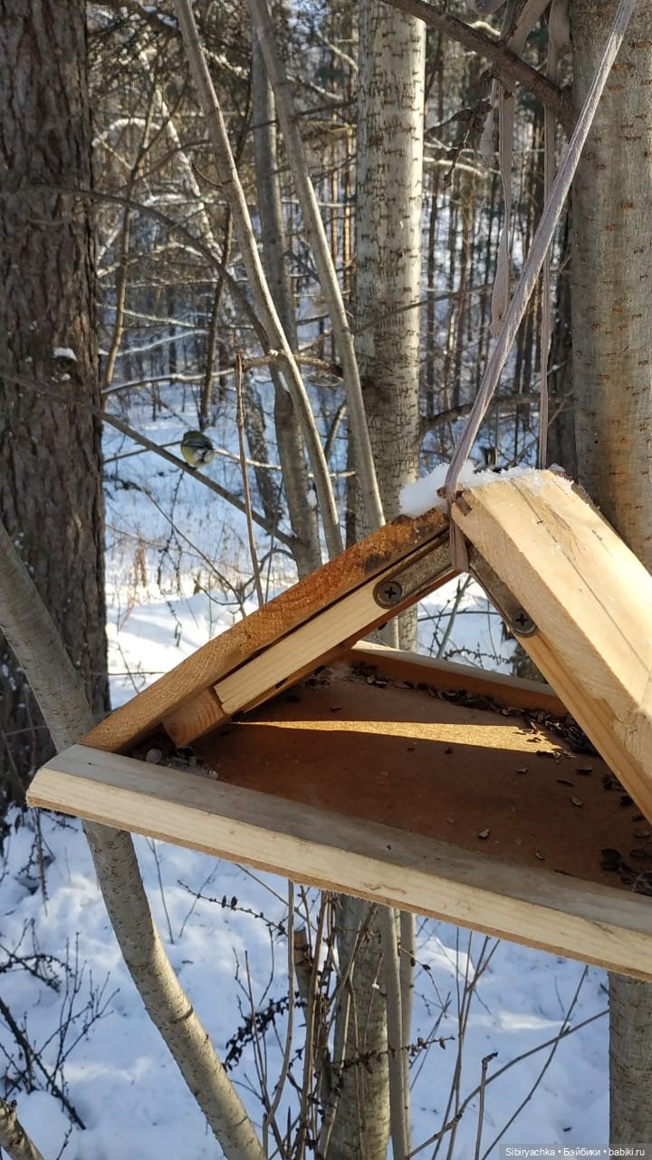 Зимняя прогулка Юляшки в любимом лесу