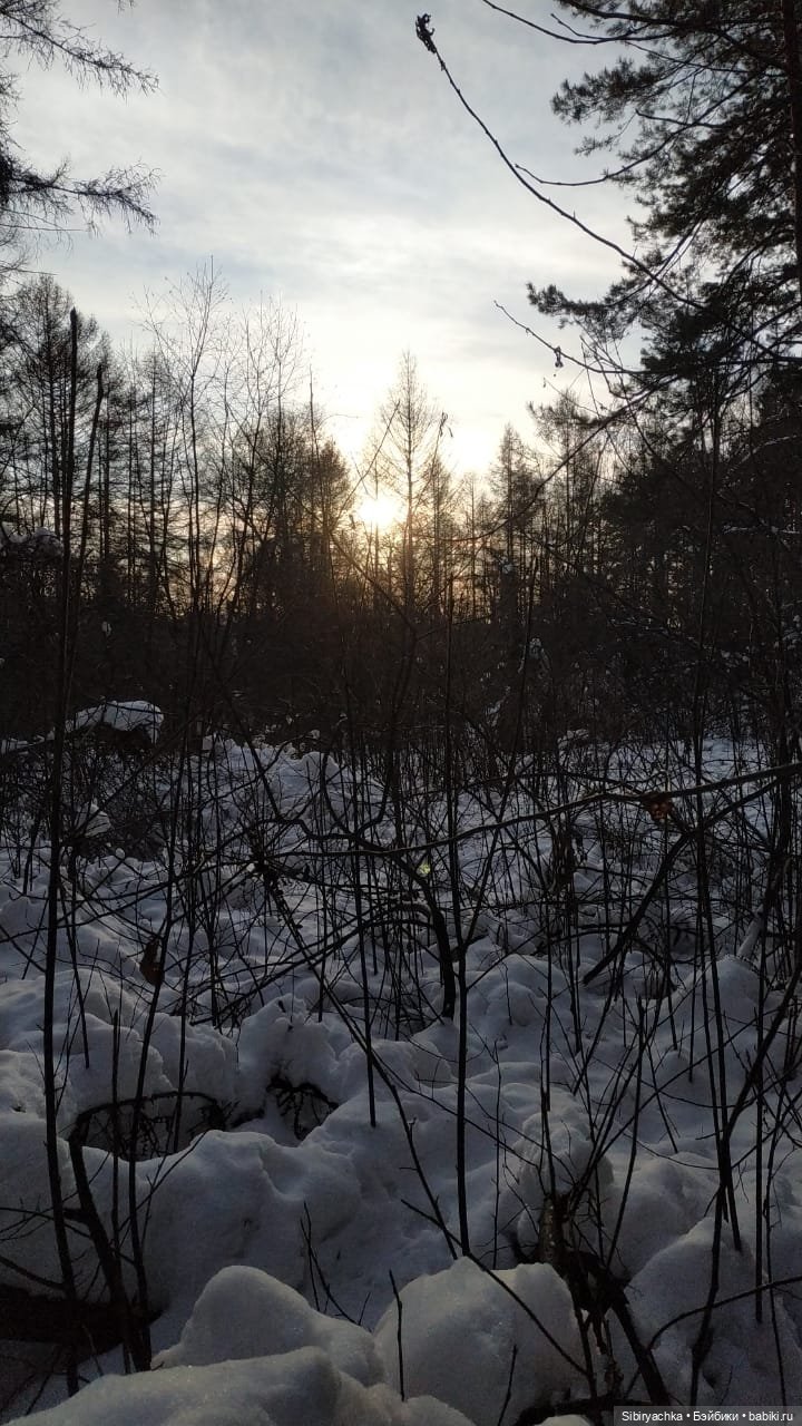 Новые лыжи и новая прогулка Юляшки