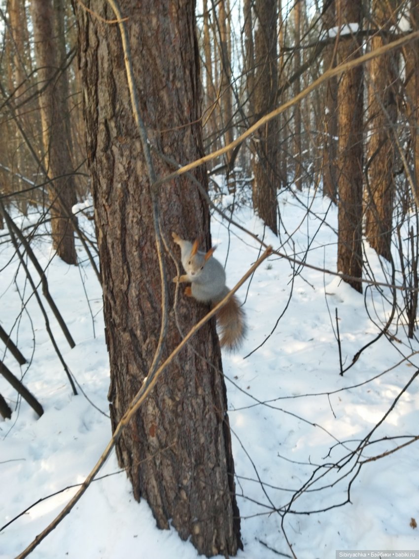 Первый выход Юляшки из дома после морозов (фото 9)