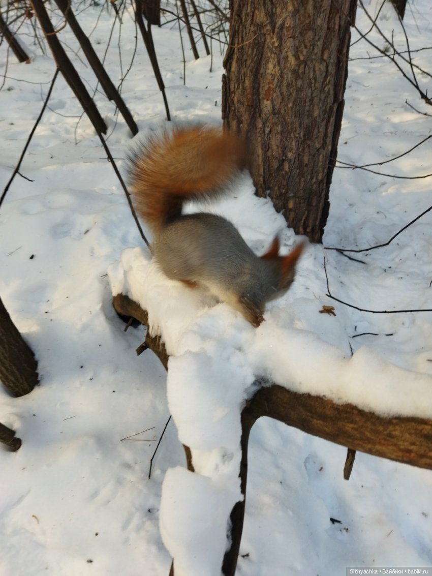 Первый выход Юляшки из дома после морозов (фото 7)