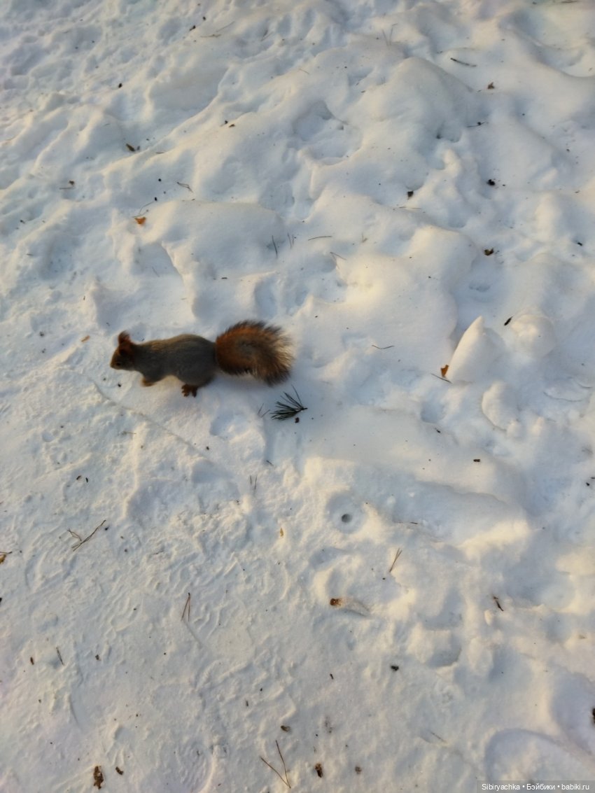 Первый выход Юляшки из дома после морозов (фото 6)