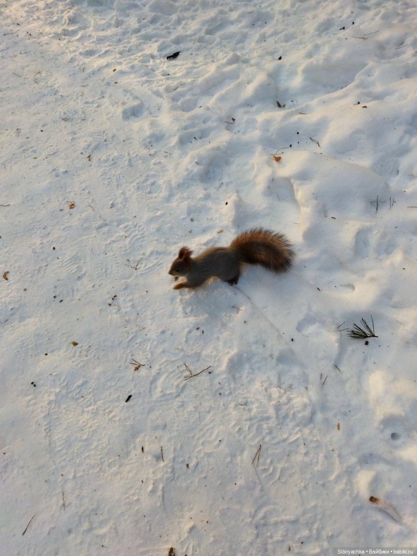 Первый выход Юляшки из дома после морозов (фото 5)