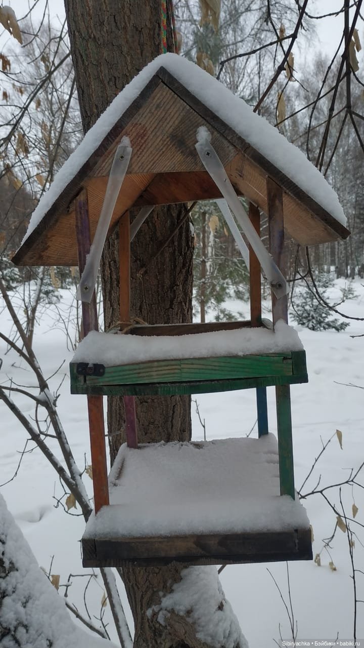 Юляшка гуляет в Михайловской роще