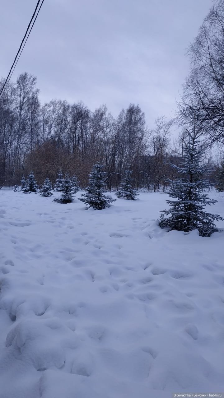 Юляшка гуляет в Михайловской роще