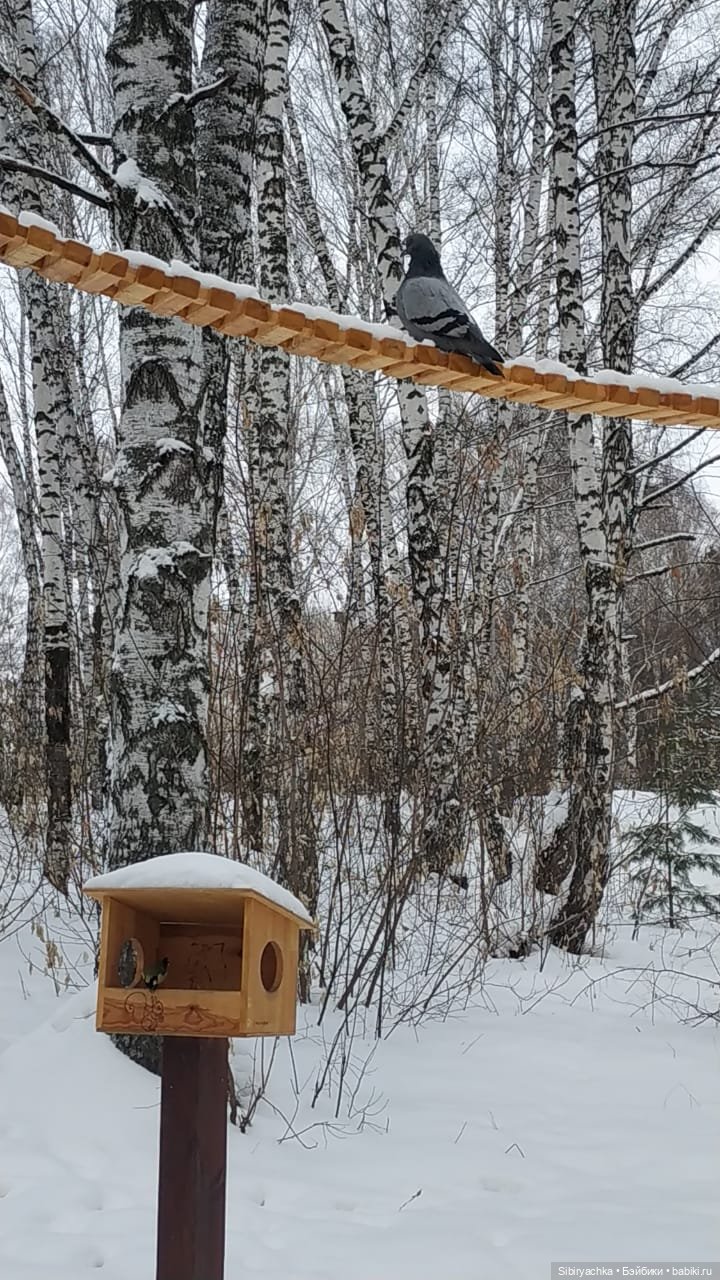 Юляшка гуляет в Михайловской роще