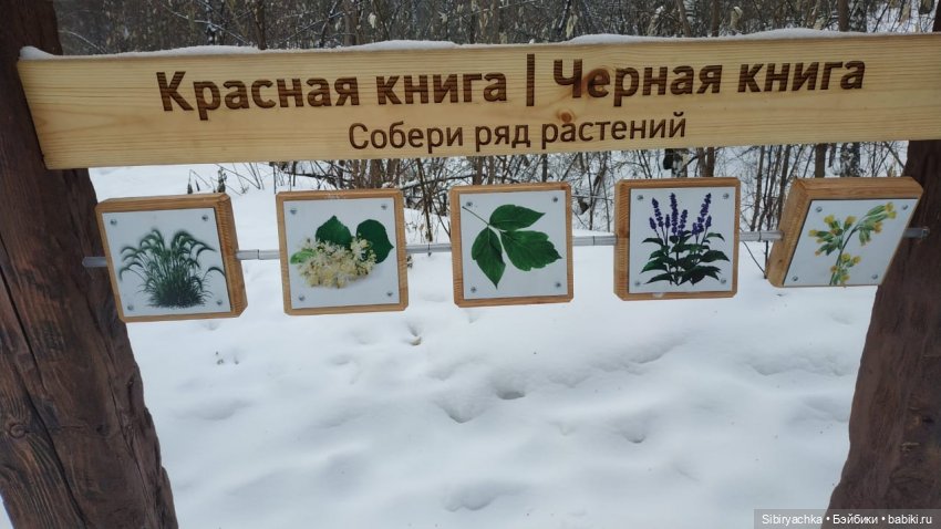 Юляшка гуляет в Михайловской роще